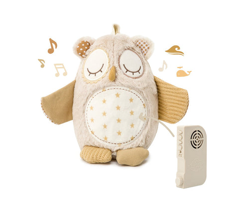 Cloud B Nighty Night Owl Smart Sensor