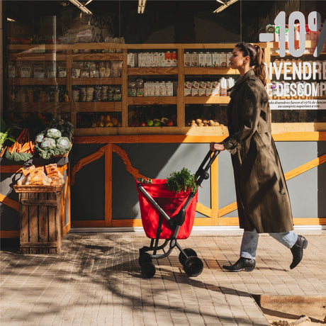 Playmarket We Go Foldable Shopping Trolley