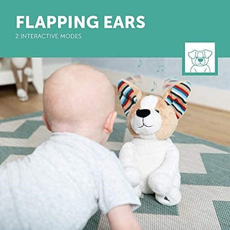 Zazu Danny The Dog – Peek-a-Boo Interactive Soft Toy