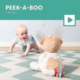 Zazu Danny The Dog – Peek-a-Boo Interactive Soft Toy