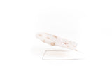 Roma Teddy 10 Piece Accessory Set