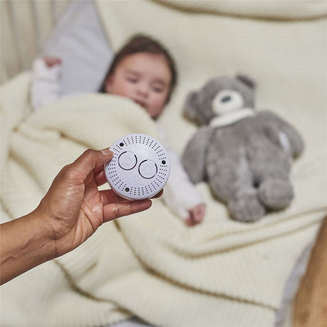 Nattou Sleepy Bear Cuddly Nightlight
