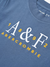 Abercrombie & Fitch Boys Signature T-Shirt in Blue