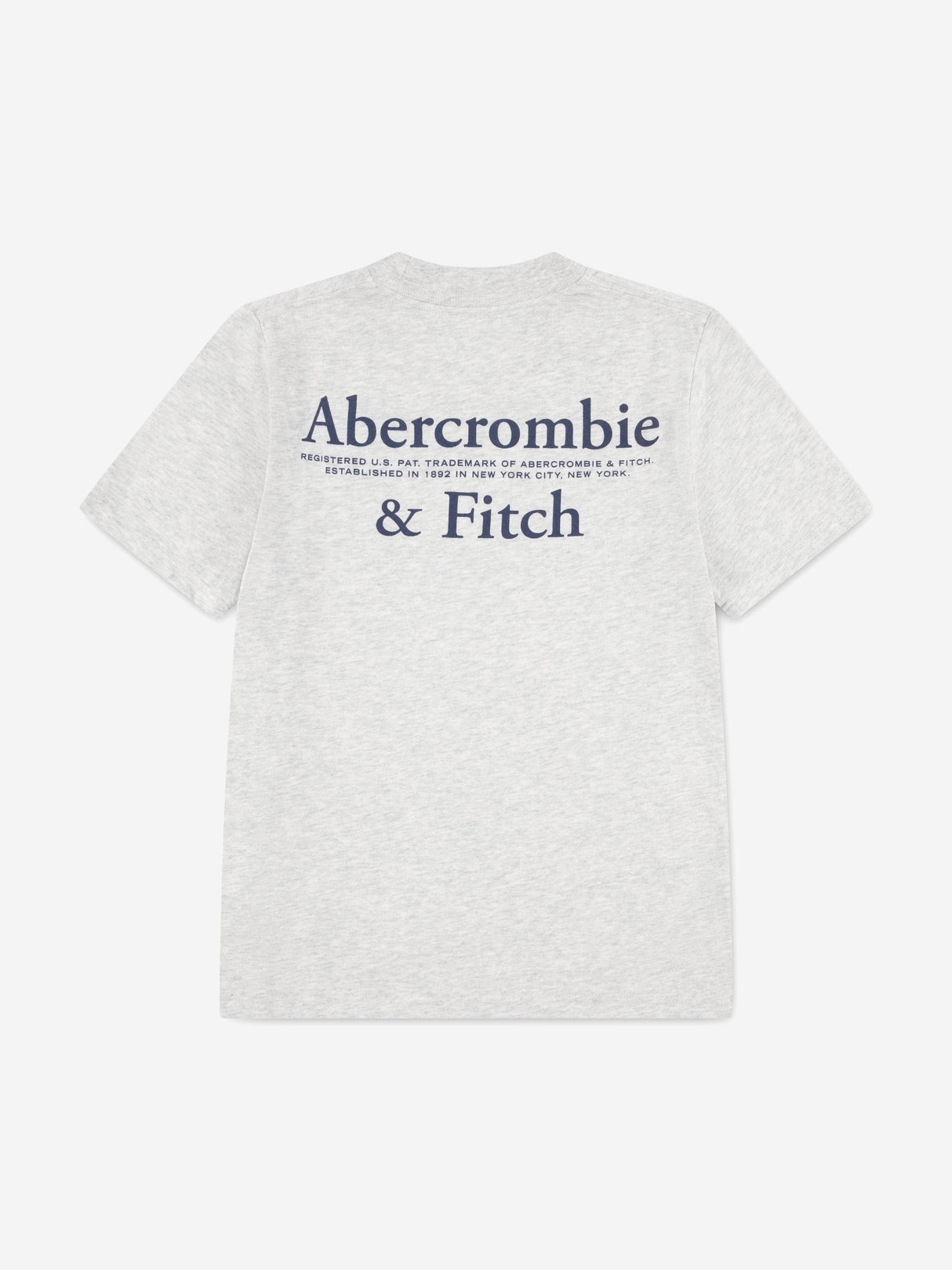 Abercrombie & Fitch Boys Foothills T-Shirt in Grey