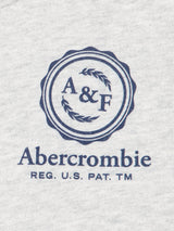 Abercrombie & Fitch Boys Foothills T-Shirt in Grey