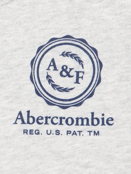 Abercrombie & Fitch Boys Foothills T-Shirt in Grey