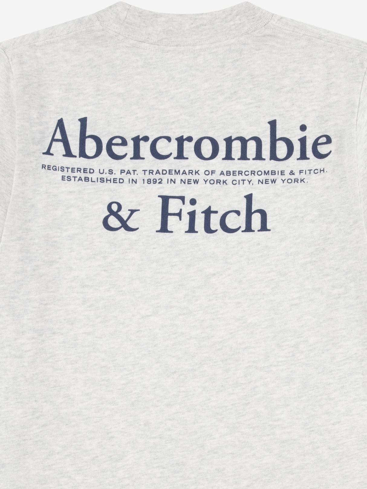 Abercrombie & Fitch Boys Foothills T-Shirt in Grey