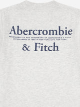 Abercrombie & Fitch Boys Foothills T-Shirt in Grey