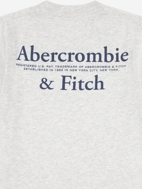 Abercrombie & Fitch Boys Foothills T-Shirt in Grey