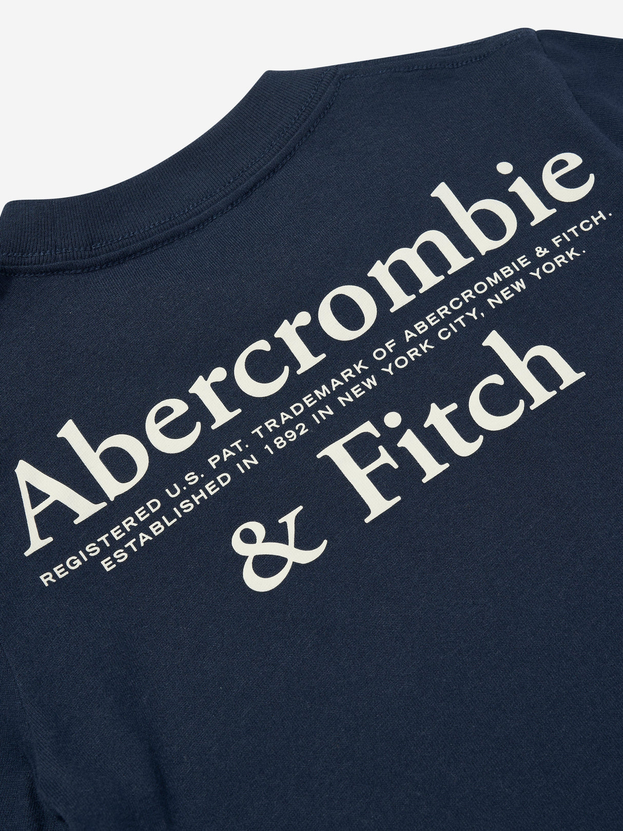 Abercrombie & Fitch Boys Foothills T-Shirt in Navy