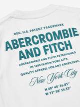 Abercrombie & Fitch Boys City Stack T-Shirt in White