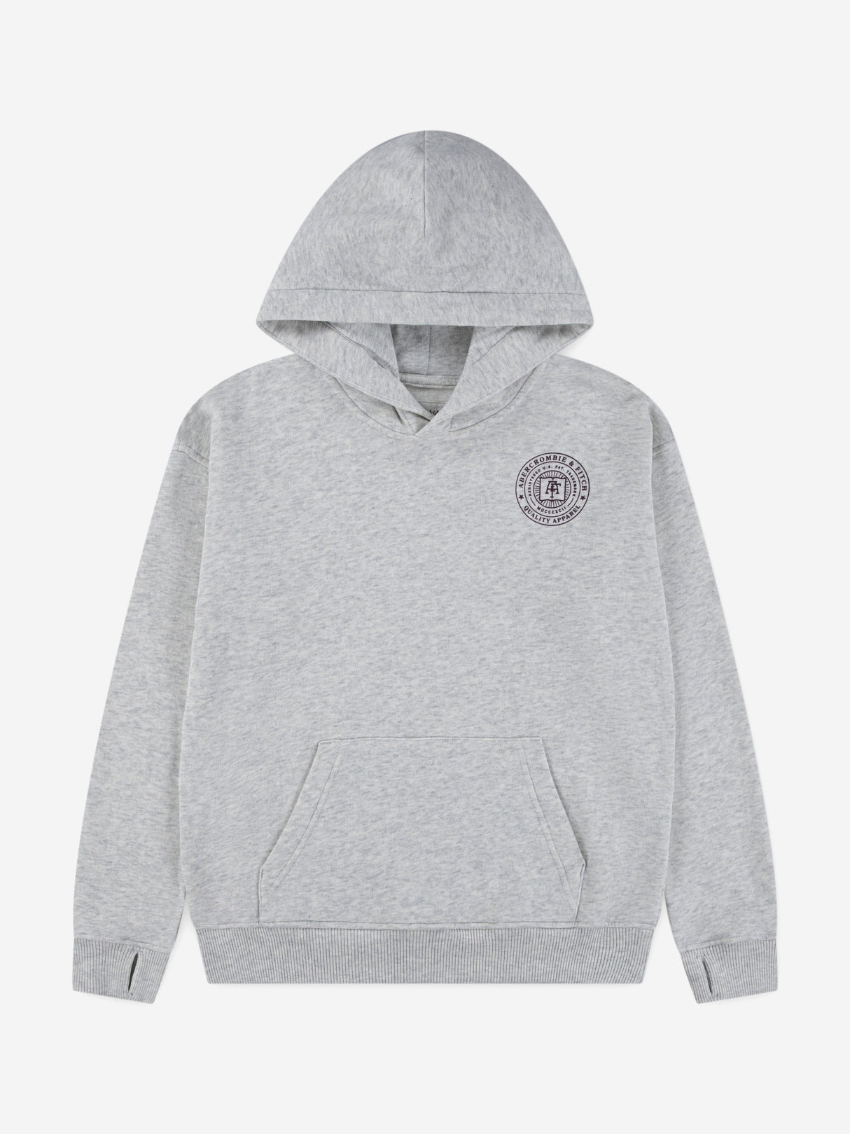 Abercrombie & Fitch Boys Fashion Hoodie in Grey