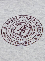 Abercrombie & Fitch Boys Fashion Hoodie in Grey