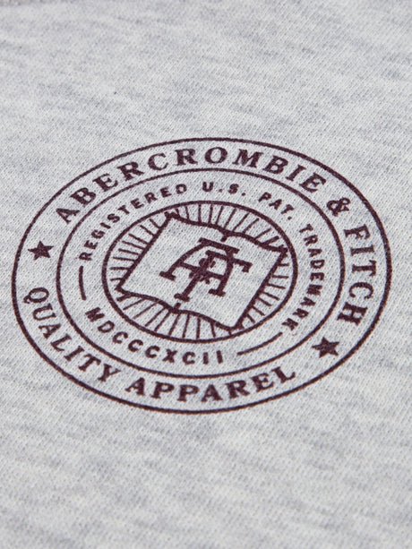 Abercrombie & Fitch Boys Fashion Hoodie in Grey