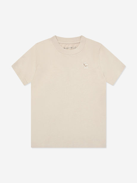 Abercrombie & Fitch Boys 3 Pack T-Shirt Set in Green