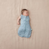 ergoPouch - Organic Winter Cocoon Swaddle Sleeping Bag - Dragonflies 2.5 TOG