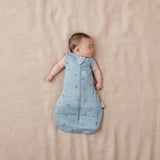 ergoPouch - Organic Winter Cocoon Swaddle Sleeping Bag - Dragonflies 2.5 TOG