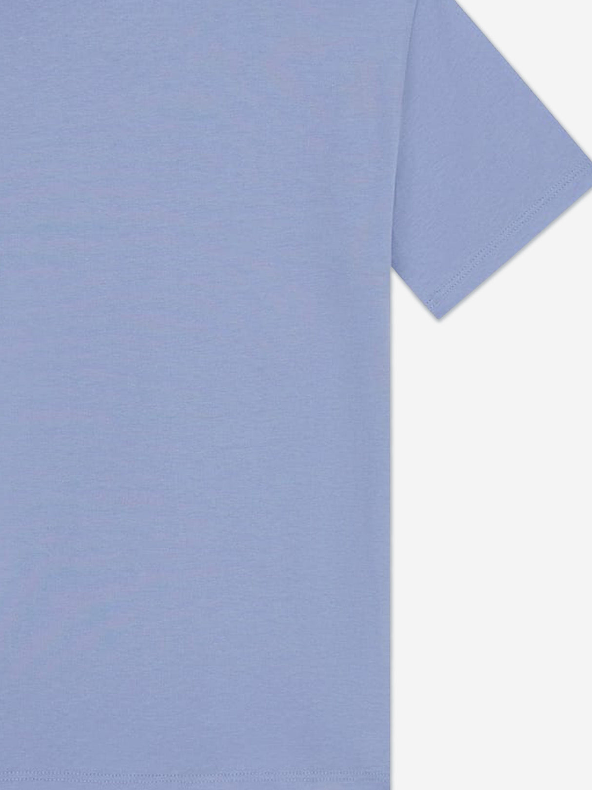 Guess Boys Bear T-Shirt in Blue