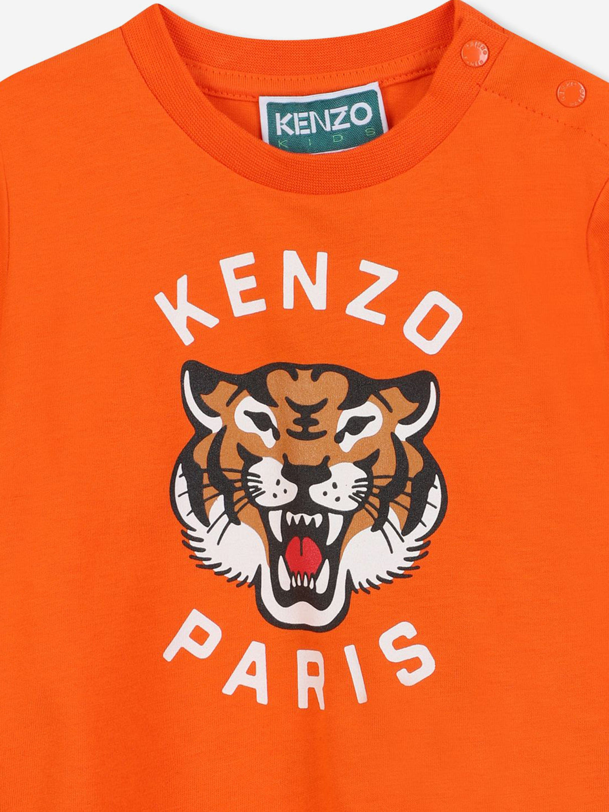 KENZO Baby Boys Kotora Tiger T-Shirt in Orange