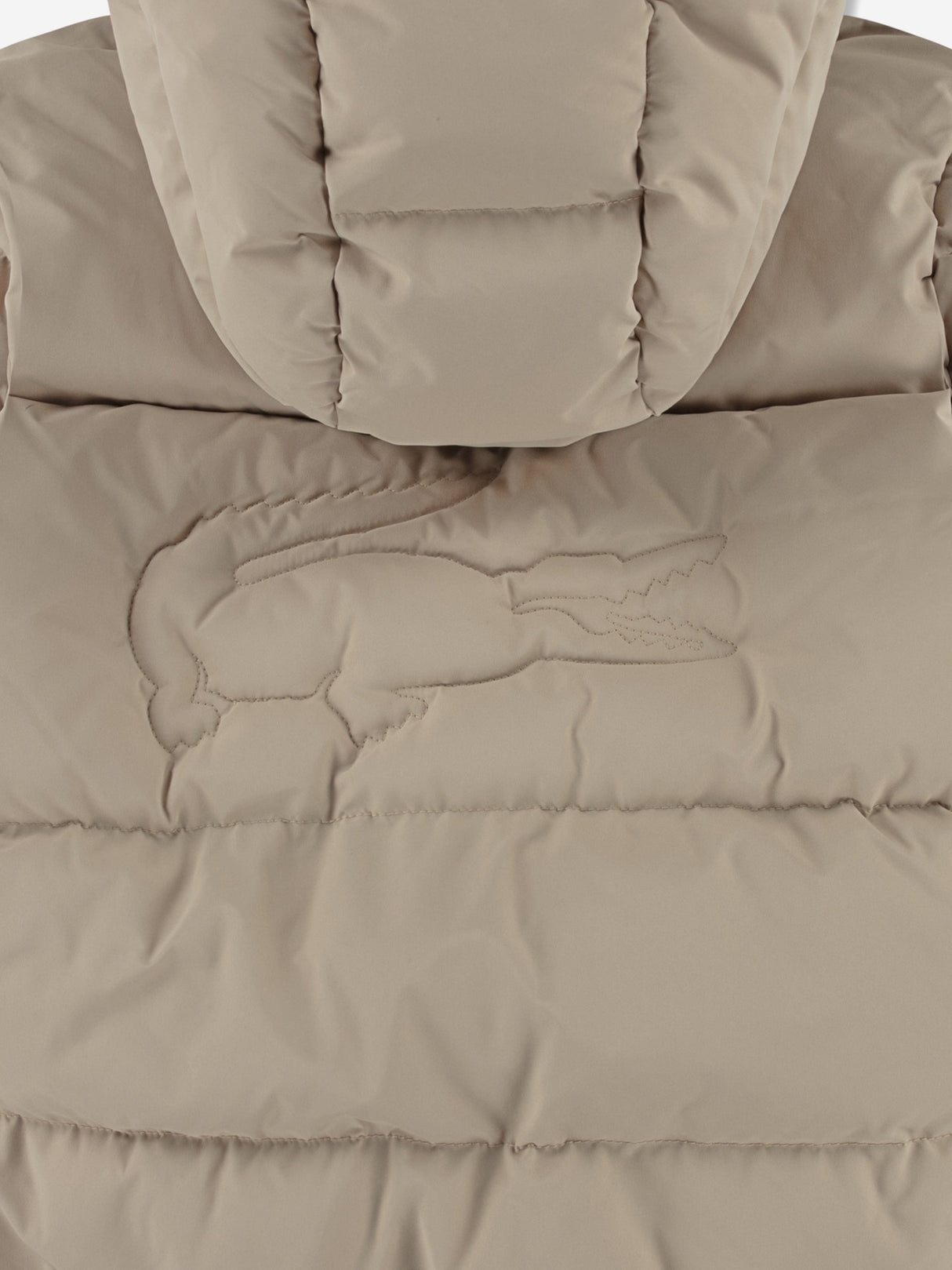 Lacoste Kids Logo Puffer Jacket in Beige