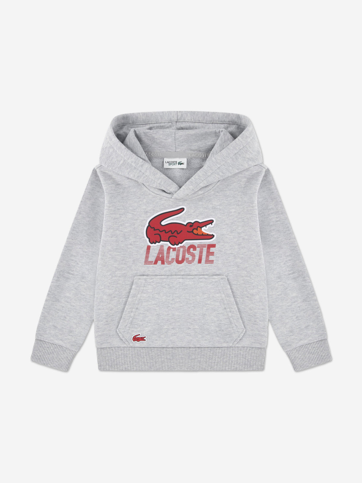 Lacoste Boys Logo Tracksuit in Grey