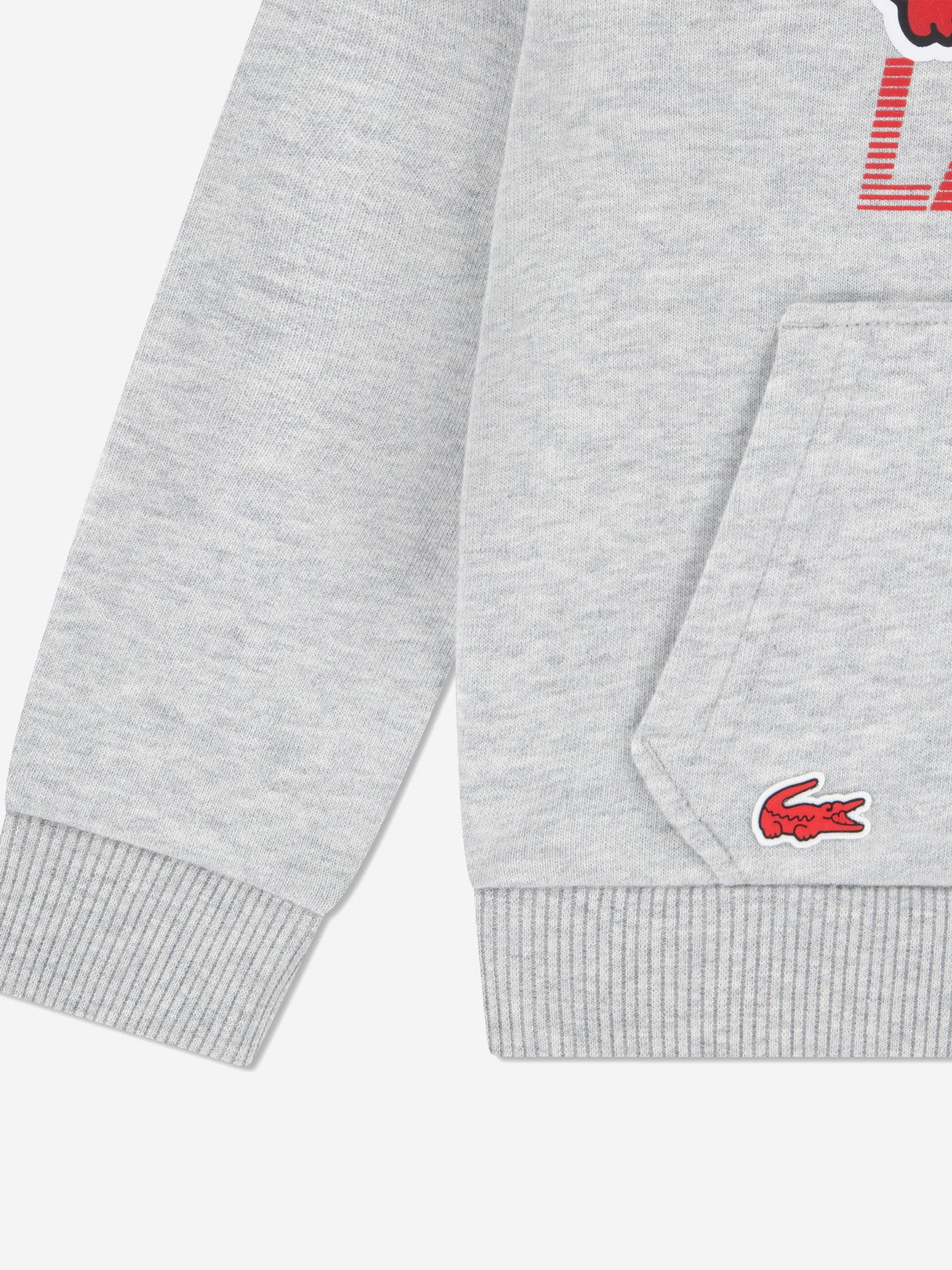 Lacoste Boys Logo Tracksuit in Grey