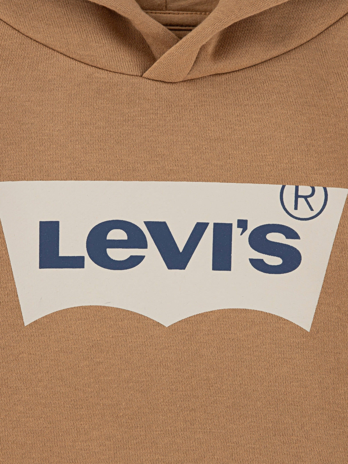 Levi's Boys Batwing Screen Print Hoodie in Brown