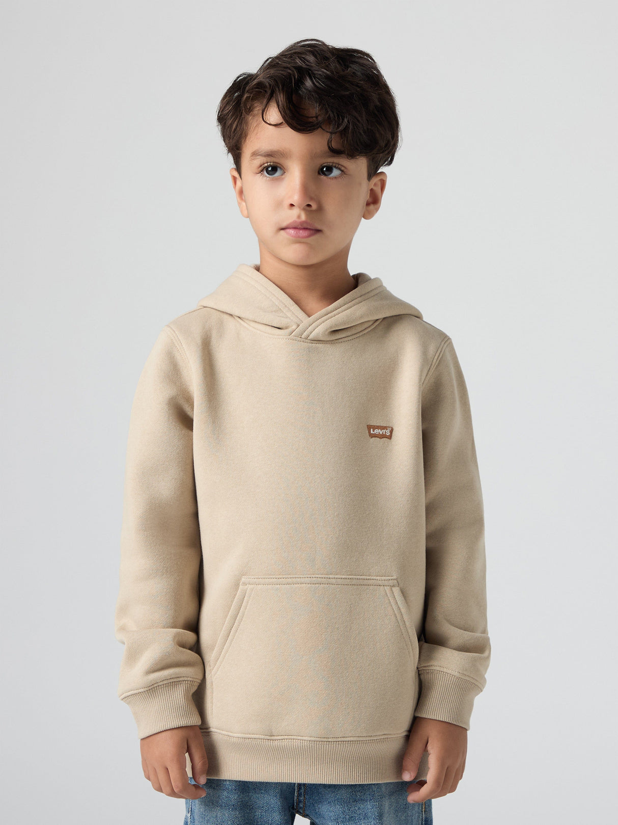 Levi's Boys Mini Batwing Hoodie in Beige