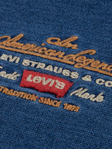 Levi's Boys Legendary Hoodie in Blue