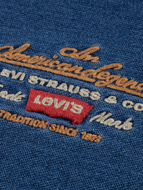 Levi's Boys Legendary Hoodie in Blue