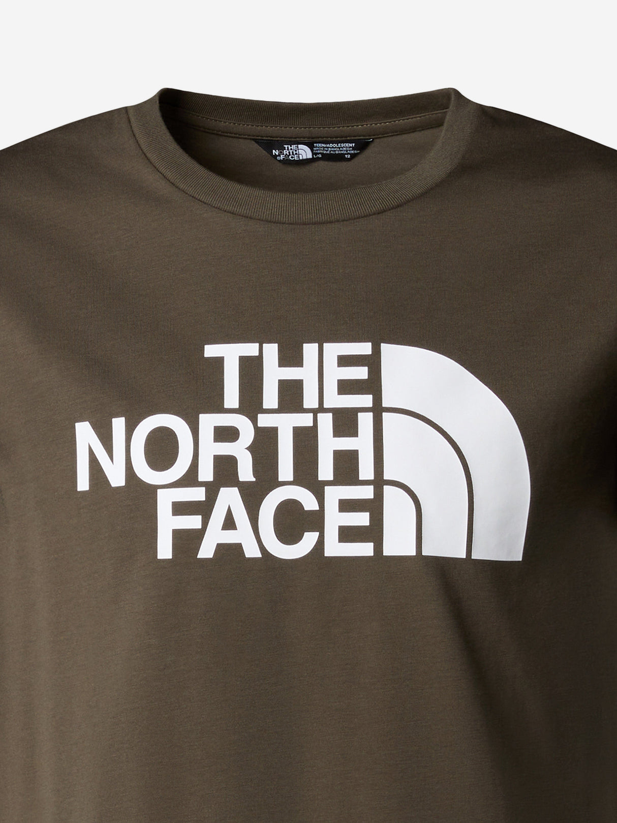 The North Face Kids Easy T-Shirt in Green