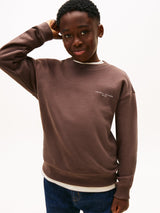 Tommy Hilfiger Kids Mini Corp Sweatshirt in Brown