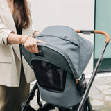 UPPAbaby Vista V3 Pushchair & Carrycot – Single-to-Double Pram - Dillan