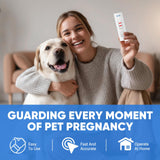 Jane Maternity & Breast Feeding Cushion