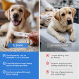 Jane Maternity & Breast Feeding Cushion