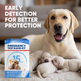 Jane Maternity & Breast Feeding Cushion