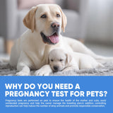 Jane Maternity & Breast Feeding Cushion