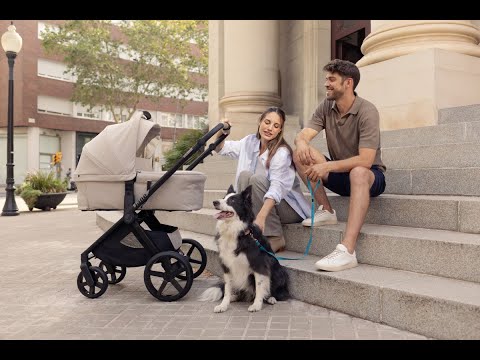 Jane Sweet Carrycot